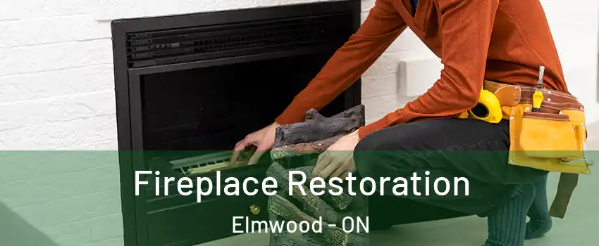  Fireplace Restoration Elmwood - ON