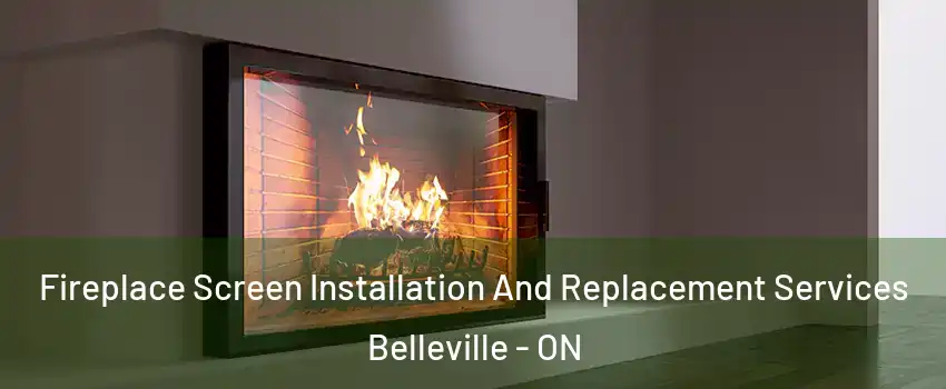 Fireplace Screen Installation And Replacement Services Belleville - ON