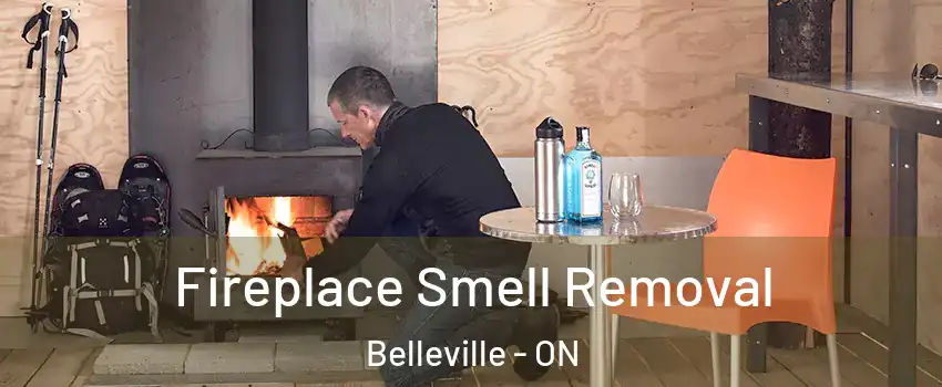  Fireplace Smell Removal Belleville - ON