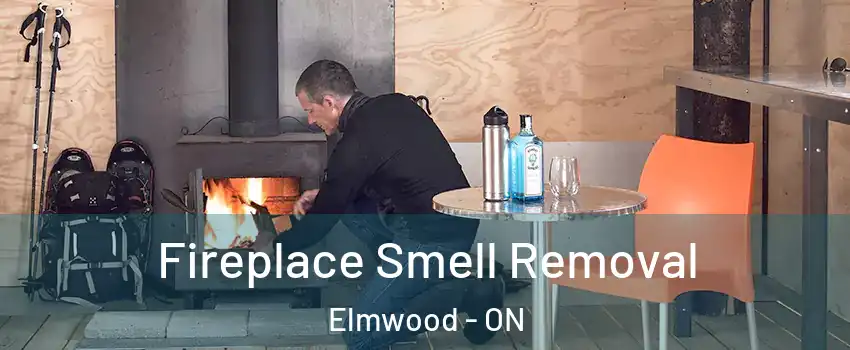  Fireplace Smell Removal Elmwood - ON