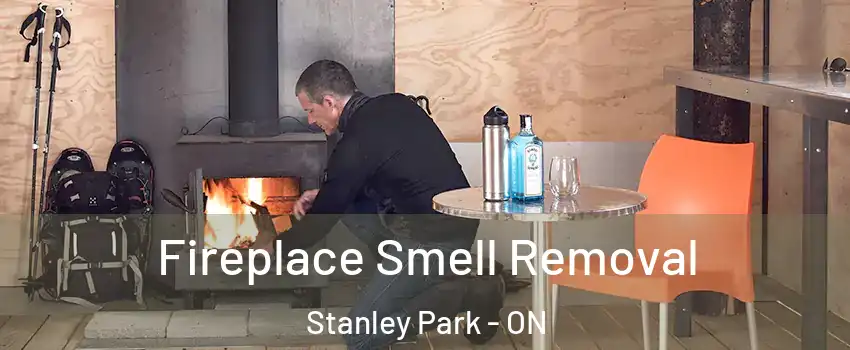  Fireplace Smell Removal Stanley Park - ON