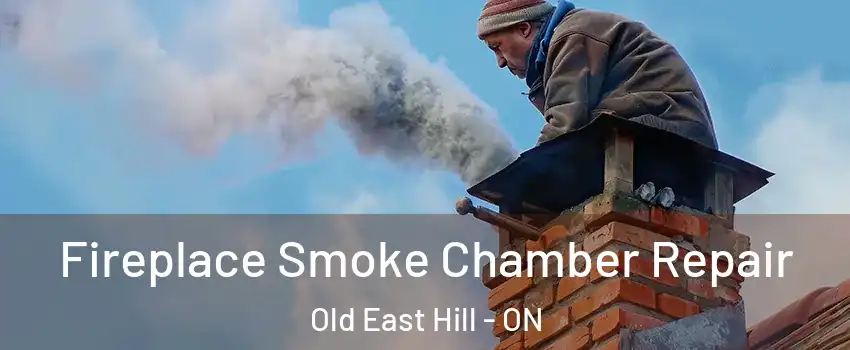  Fireplace Smoke Chamber Repair Old East Hill - ON