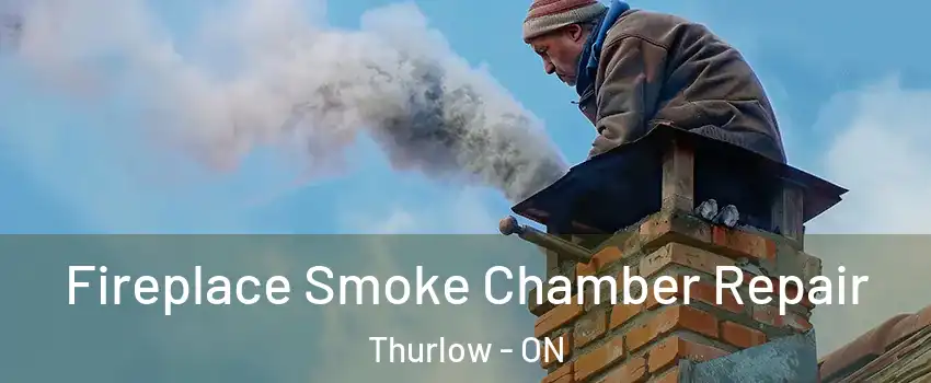  Fireplace Smoke Chamber Repair Thurlow - ON
