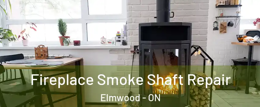 Fireplace Smoke Shaft Repair Elmwood - ON