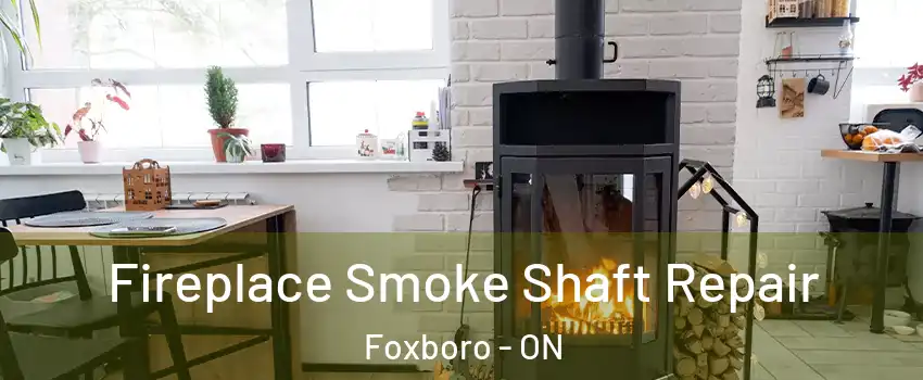  Fireplace Smoke Shaft Repair Foxboro - ON