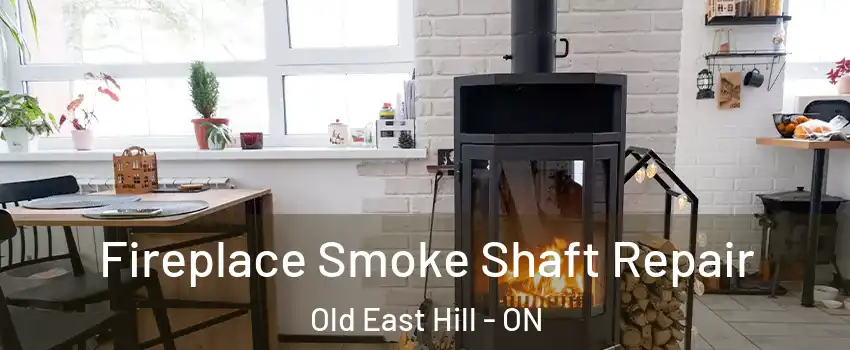  Fireplace Smoke Shaft Repair Old East Hill - ON