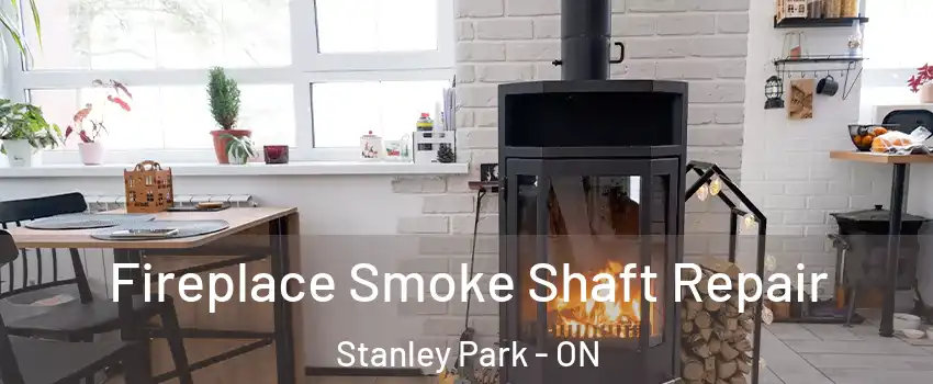  Fireplace Smoke Shaft Repair Stanley Park - ON