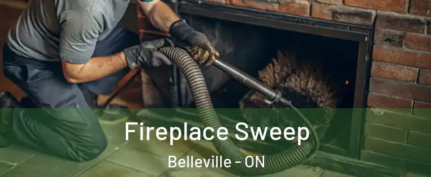  Fireplace Sweep Belleville - ON