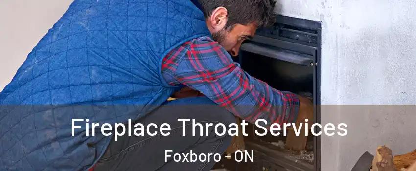  Fireplace Throat Services Foxboro - ON