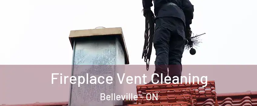 Fireplace Vent Cleaning Belleville - ON