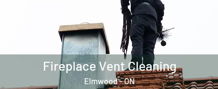 Fireplace Vent Cleaning Elmwood - ON