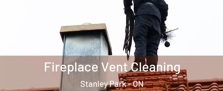  Fireplace Vent Cleaning Stanley Park - ON
