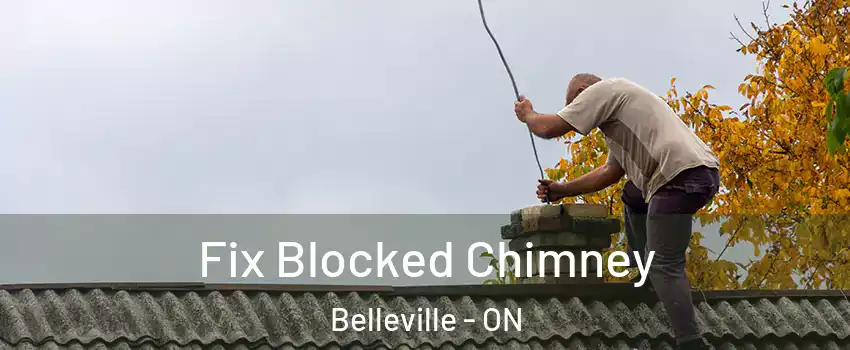  Fix Blocked Chimney Belleville - ON