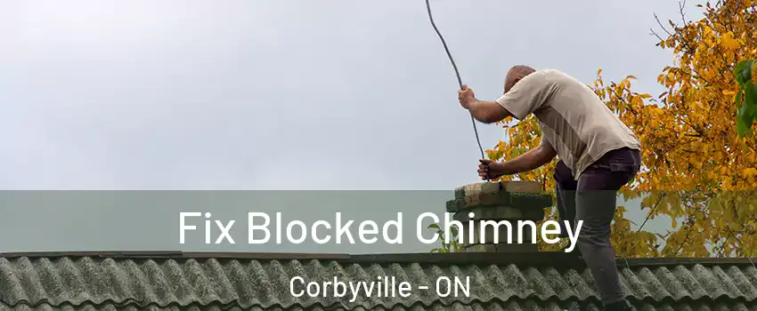  Fix Blocked Chimney Corbyville - ON