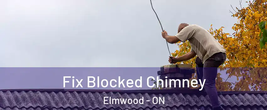  Fix Blocked Chimney Elmwood - ON