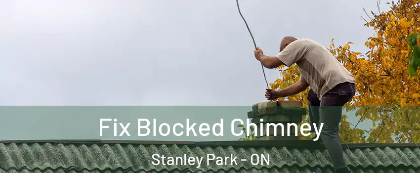  Fix Blocked Chimney Stanley Park - ON