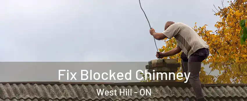  Fix Blocked Chimney West Hill - ON