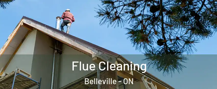  Flue Cleaning Belleville - ON