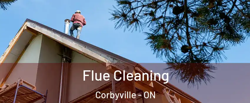  Flue Cleaning Corbyville - ON