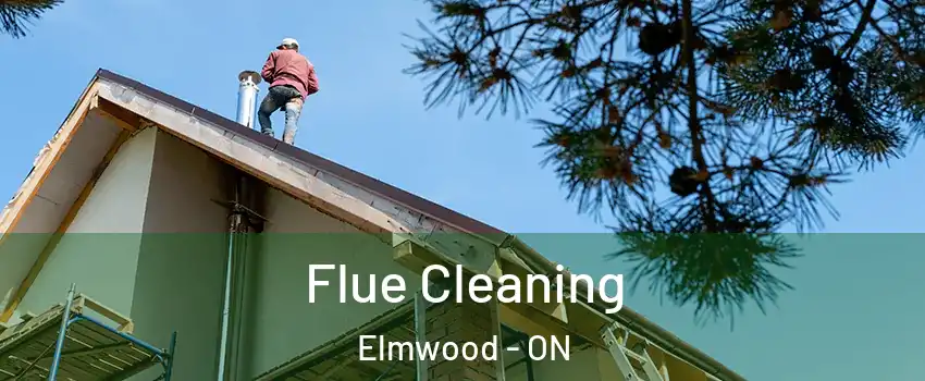  Flue Cleaning Elmwood - ON