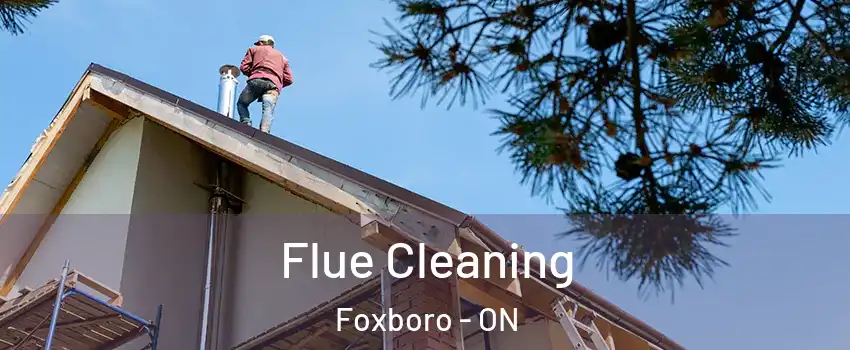  Flue Cleaning Foxboro - ON