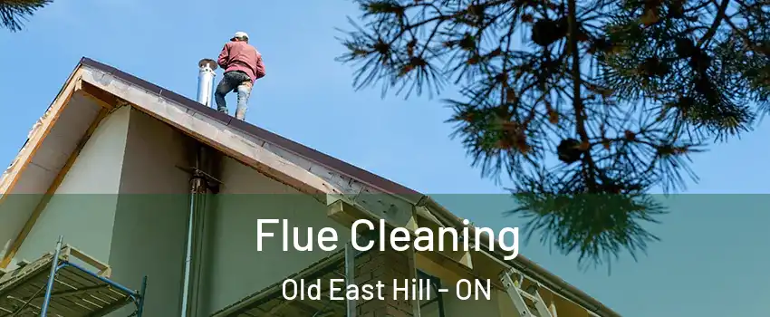  Flue Cleaning Old East Hill - ON