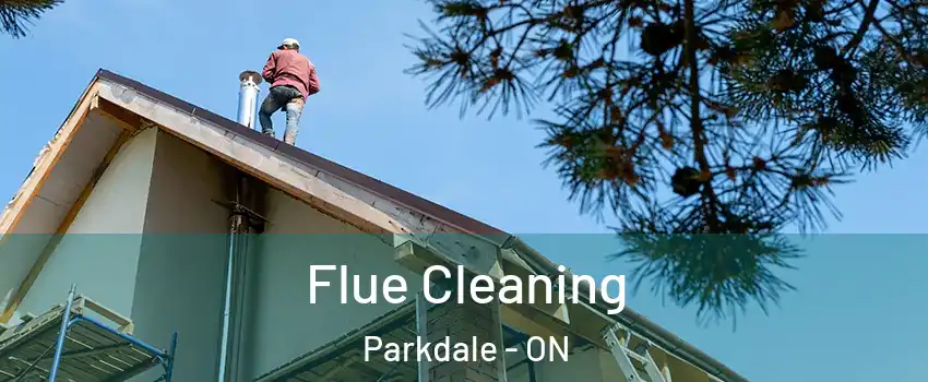  Flue Cleaning Parkdale - ON