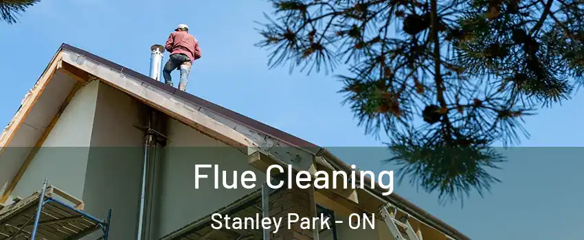  Flue Cleaning Stanley Park - ON
