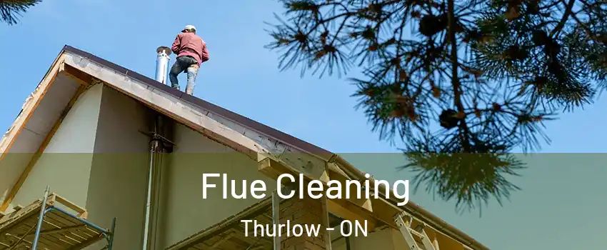 Flue Cleaning Thurlow - ON