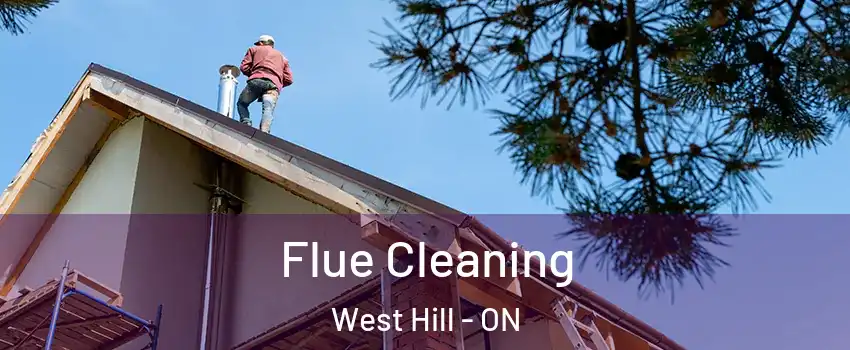  Flue Cleaning West Hill - ON