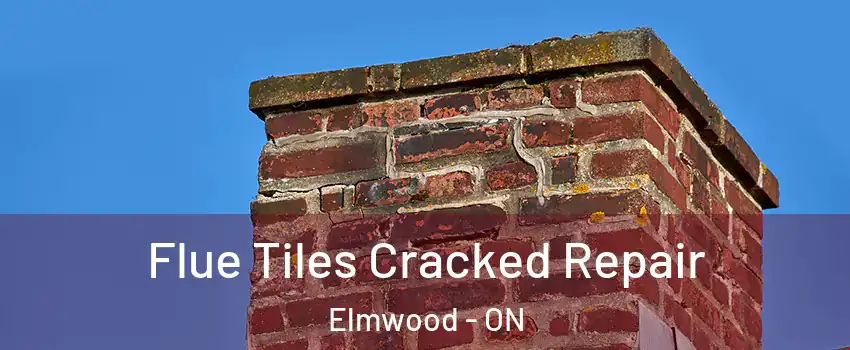  Flue Tiles Cracked Repair Elmwood - ON