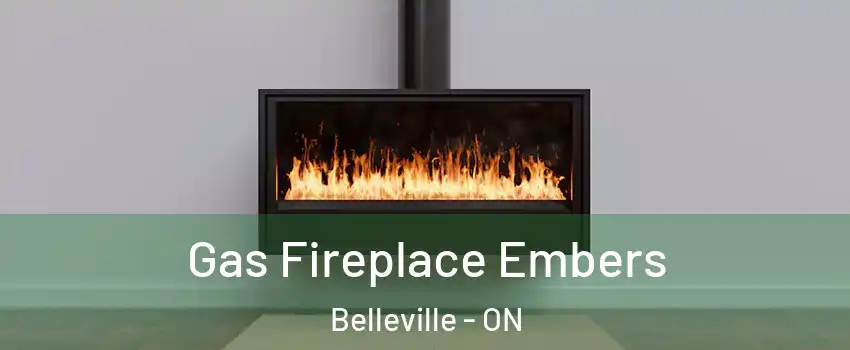 Gas Fireplace Embers Belleville - ON