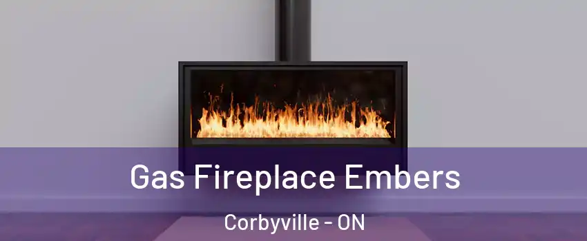  Gas Fireplace Embers Corbyville - ON