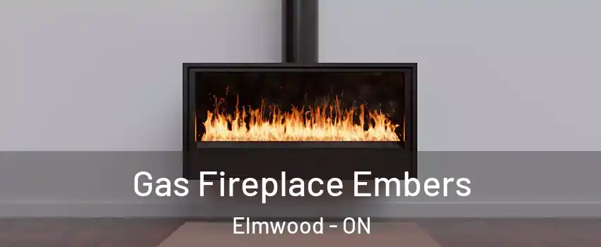  Gas Fireplace Embers Elmwood - ON