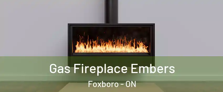  Gas Fireplace Embers Foxboro - ON
