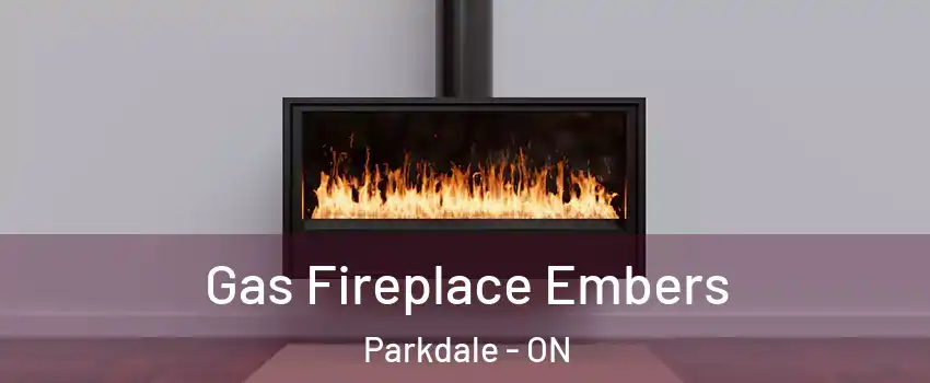  Gas Fireplace Embers Parkdale - ON