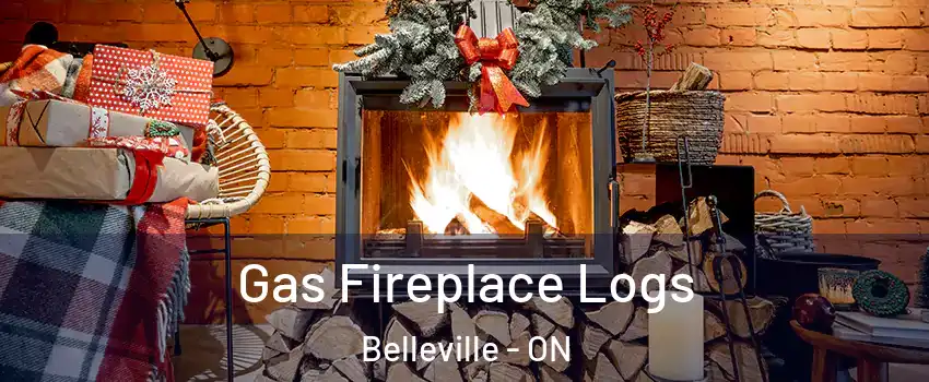  Gas Fireplace Logs Belleville - ON