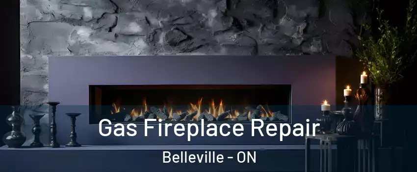  Gas Fireplace Repair Belleville - ON