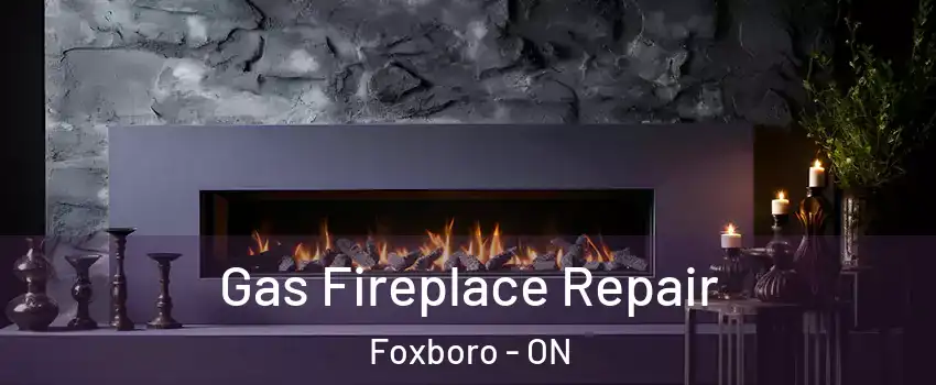  Gas Fireplace Repair Foxboro - ON