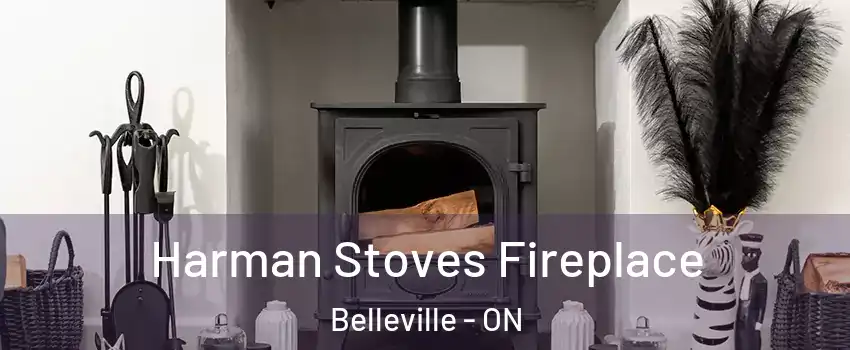  Harman Stoves Fireplace Belleville - ON