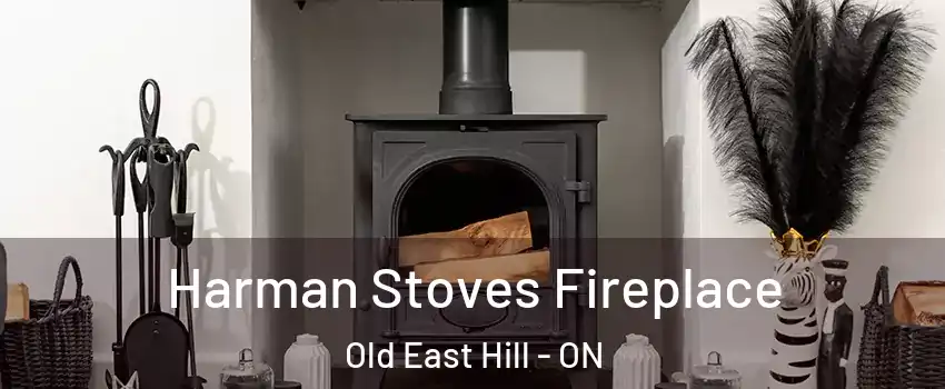  Harman Stoves Fireplace Old East Hill - ON