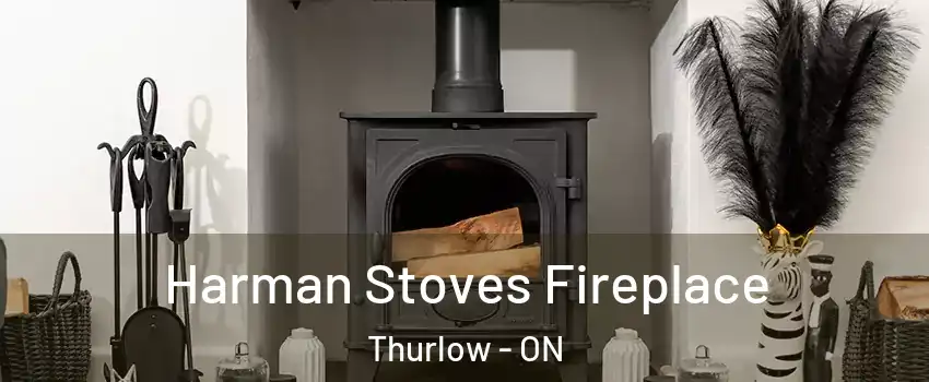  Harman Stoves Fireplace Thurlow - ON