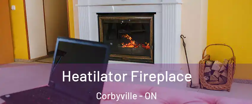  Heatilator Fireplace Corbyville - ON