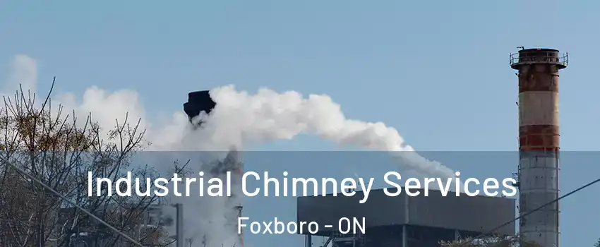  Industrial Chimney Services Foxboro - ON
