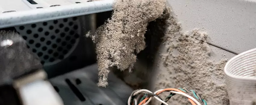 Clogged Dryer Vent Lint Cleaning in Belleville, Ontario