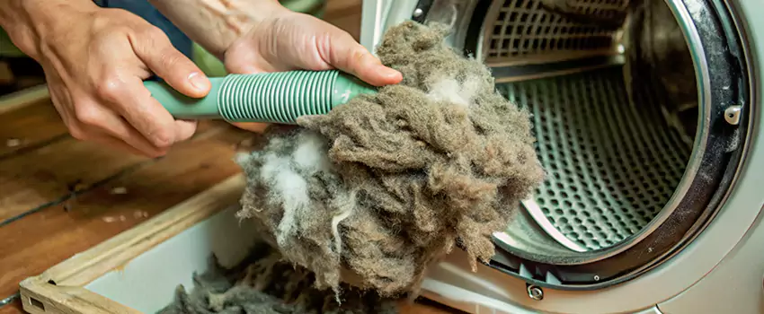 Best Dryer Lint Removal Company in Belleville, Ontario