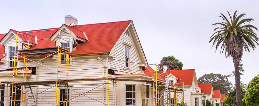 Commercial Chimney Blockage Removal in Glanmore, Ontario