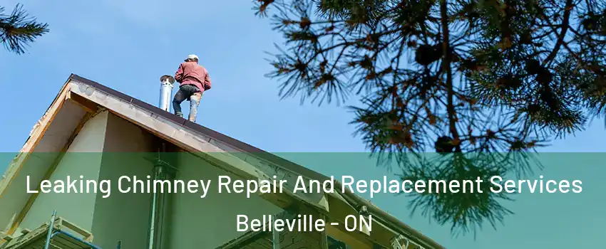 Leaking Chimney Repair And Replacement Services Belleville - ON