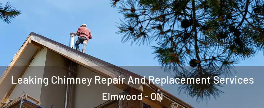  Leaking Chimney Repair And Replacement Services Elmwood - ON