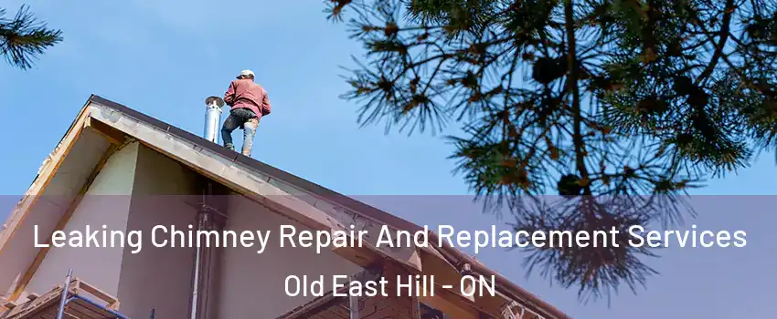 Leaking Chimney Repair And Replacement Services Old East Hill - ON